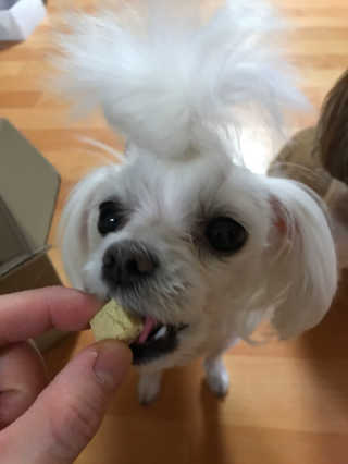 황원채님이 올린 리뷰 사진 4