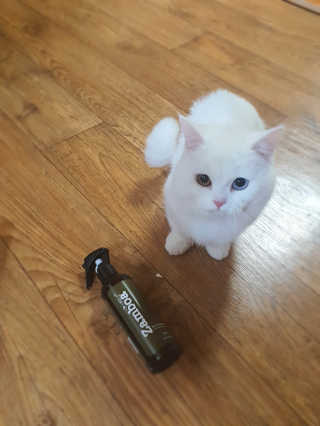 그리다님이 올린 리뷰 사진 2