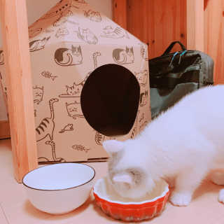 Caroline님이 올린 리뷰 사진 3