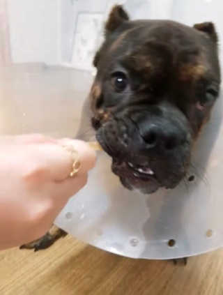 웅비님이 올린 리뷰 사진 4