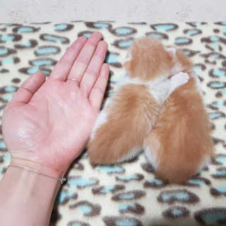 헐크갱크🌱님이 올린 리뷰 사진 3