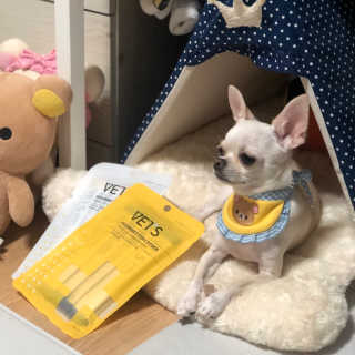 베츠 고메스톡 2종 강아지츄르 사료, 물 전용토핑육수 — 5점을 준 리뷰어가 2019년 7월 올린 사용 사진