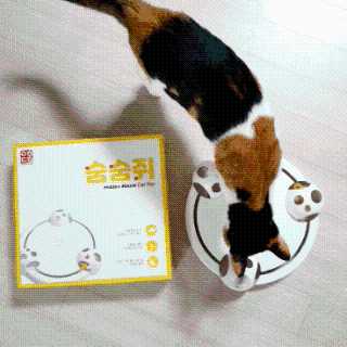 JENNY님이 올린 리뷰 사진 2