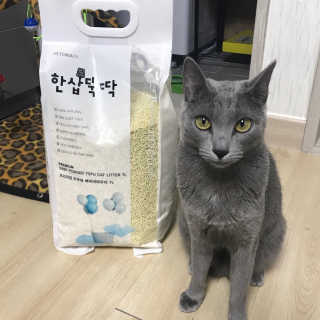 [펫토리아]한삽뚝딱 프리미엄 고양이 두부모래 — 4점을 준 리뷰어가 2019년 8월 올린 사용 사진