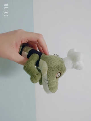보람님이 올린 리뷰 사진 1