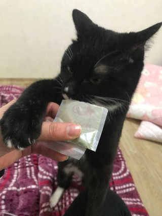 그냥나님이 올린 리뷰 사진 2