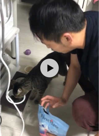 [펫토리아] 퍼스트메이트 고양이 사료 — 5점을 준 리뷰어가 2019년 3월 올린 사용 사진