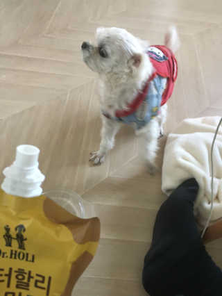단발소녀님이 올린 리뷰 사진 1