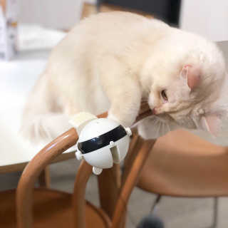 다용블리님이 올린 리뷰 사진 3