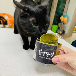 [펫토리아] BEST 한캔뚝딱 고양이 주식캔 — 5점을 준 리뷰어가 2019년 3월 올린 사용 사진