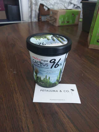 Jestalve님이 올린 리뷰 사진 1