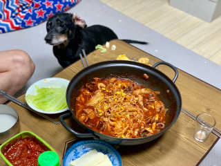 콩이누나님이 올린 리뷰 사진 2