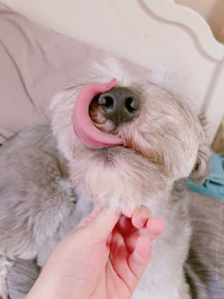 여삐님이 올린 리뷰 사진 4