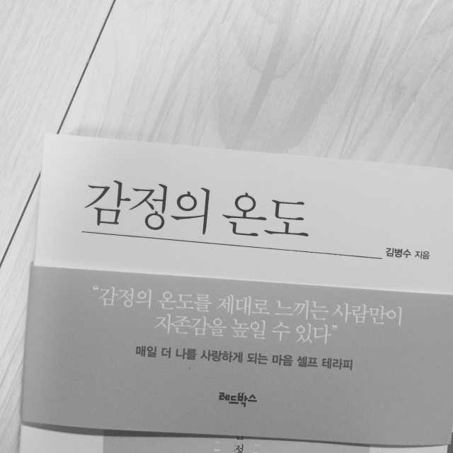 감정의 온도 리뷰 사진