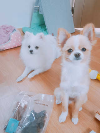 한놔님이 올린 리뷰 사진 1