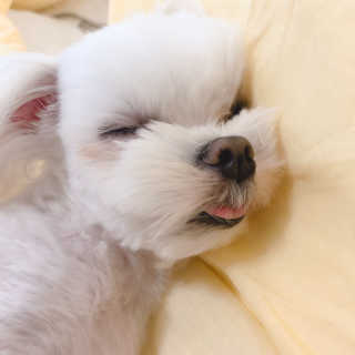 VV님이 올린 리뷰 사진 3