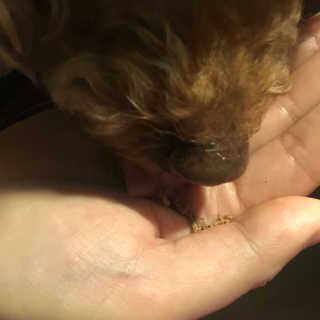 julaa님이 올린 리뷰 사진 3