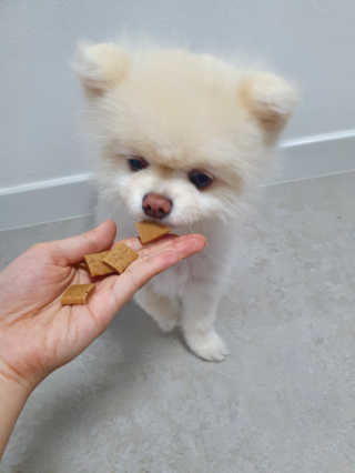 현이님이 올린 리뷰 사진 3