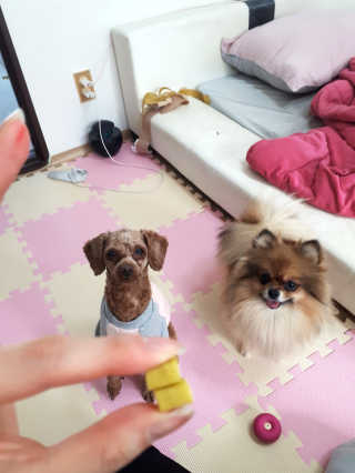 김민주님이 올린 리뷰 사진 3