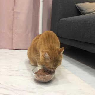 쏘뜬님이 올린 리뷰 사진 3