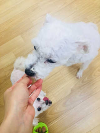 구보리님이 올린 리뷰 사진 3