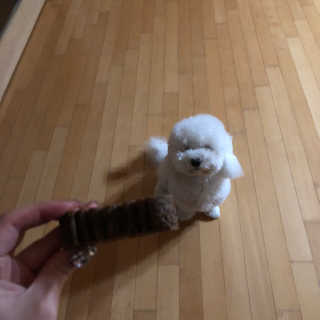 2020님이 올린 리뷰 사진 3