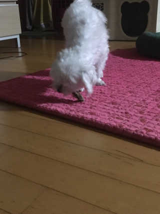 홍시님이 올린 리뷰 사진 2