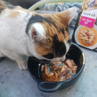 sggggg님이 올린 리뷰 사진 1