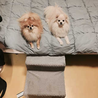 김희진님이 올린 리뷰 사진 1
