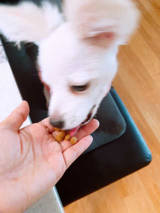 YouReena님이 올린 리뷰 사진 3