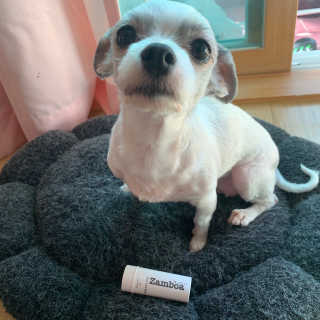 블리언니슈슈님이 올린 리뷰 사진 4