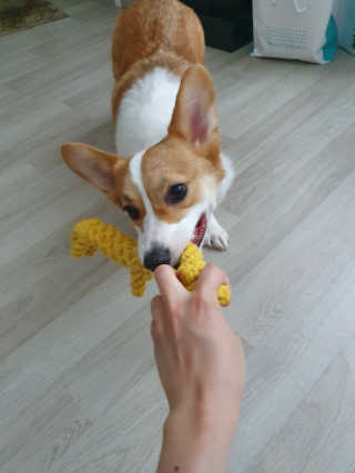 지우우우님이 올린 리뷰 사진 4
