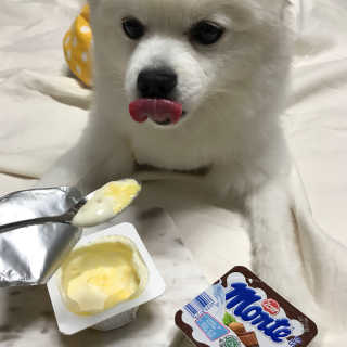 생강언니님이 올린 리뷰 사진 3