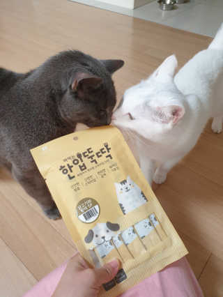 코코야옹님이 올린 리뷰 사진 1