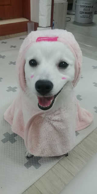 EunJeongKong님이 올린 리뷰 사진 1