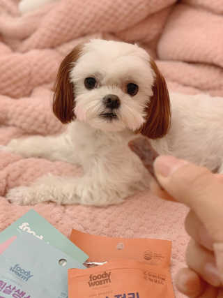 푸디웜 주식회사 [푸디웜] 강아지 저알러지 수제간식 3종세트 — 5점을 준 리뷰어가 2019년 2월 올린 사용 사진