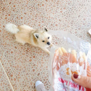 고유경님이 올린 리뷰 사진 2