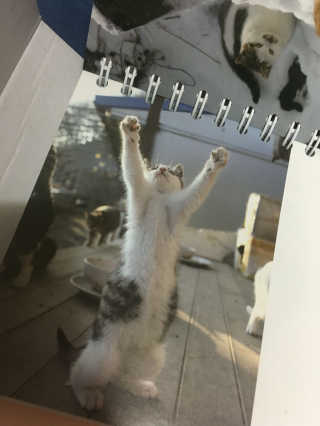 예스르님이 올린 리뷰 사진 2