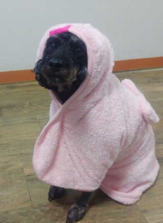 서연님이 올린 리뷰 사진 3