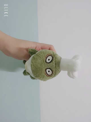 보람님이 올린 리뷰 사진 2