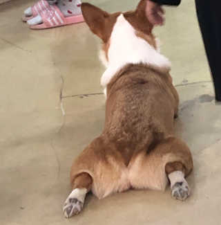 율ʕ•ᴥ•ʔ님이 올린 리뷰 사진 2