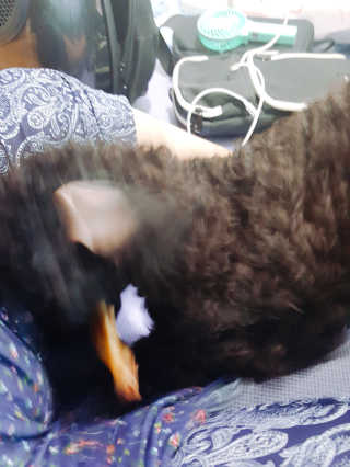 쑤쏭님이 올린 리뷰 사진 3