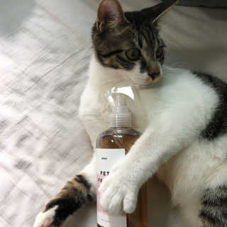 긴힝님이 올린 리뷰 사진 4
