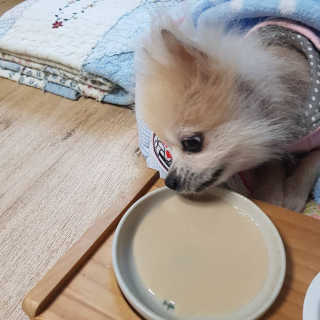 이엘리사님이 올린 리뷰 사진 3