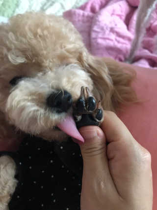 모모맘님이 올린 리뷰 사진 3