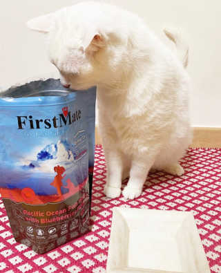 수달짱님이 올린 리뷰 사진 1