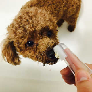 SuhyunOh님이 올린 리뷰 사진 1