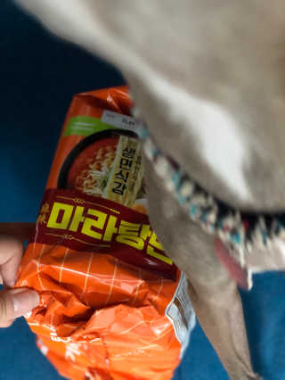 [풀무원] 포기하지 마라탕면 — 5점을 준 리뷰어가 2019년 7월 올린 사용 사진