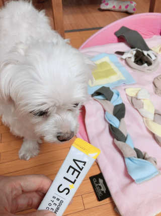 베츠 고메스톡 2종 강아지츄르 사료, 물 전용토핑육수 — 2.5점을 준 리뷰어가 2019년 7월 올린 사용 사진