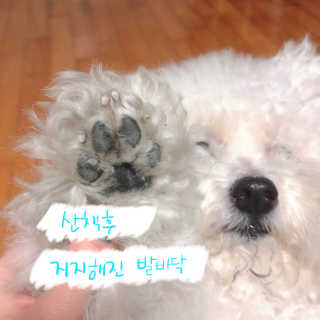 꽁냥꽁냥님이 올린 리뷰 사진 4